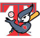 2003 Blue Jays Logo